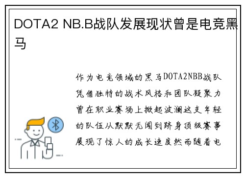 DOTA2 NB.B战队发展现状曾是电竞黑马